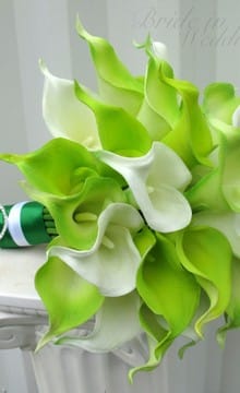 Бело-зеленый букет невесты: фото и идеи оформления