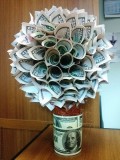 пушистое денежное дерево